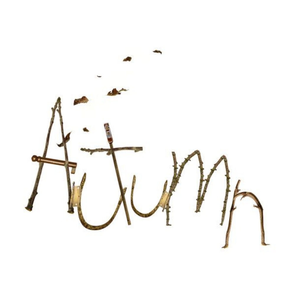 Looking for fall clothes!!!